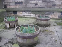 IMG_1050.webp