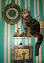 foto 010.webp