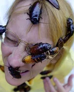 exoticpets_1.webp