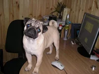 P7312474.JP           G.webp