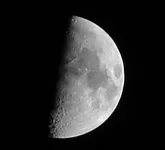 Luna_BW_orig_crop.webp