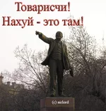8737.webp