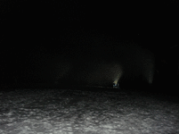 DSC03923.gif
