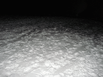 DSC03924.gif