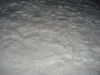 DSC03927.gif