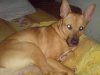 DSC00088.webp