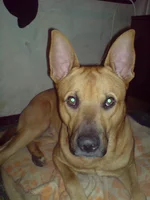 DSC01165.webp