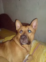 DSC00090.webp