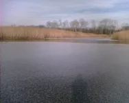 ловли.webp