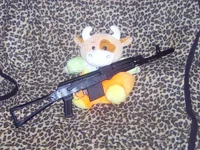  PIC_0378.webp