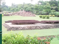 100_0110.JPG