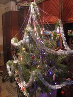IMG_0085a.webp