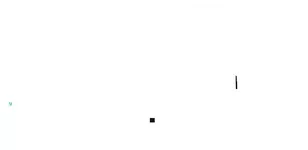  444444444444444444.webp