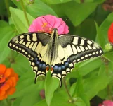  (60).webp