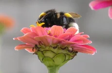  (71).webp