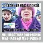1455980_557323931011176_1695417506_n.webp