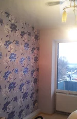IMAG0971.webp
