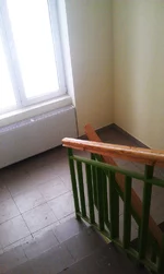 IMAG0984.webp