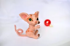 cat-18-1.webp
