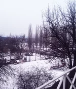 IMAG0991.webp