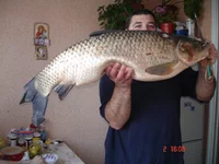 DSC06548.jpg