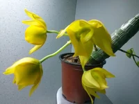 CAM00640.webp