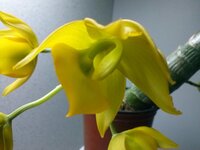 CAM00641.jpg