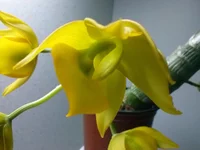 CAM00641.webp