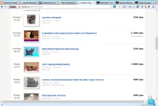 3.webp