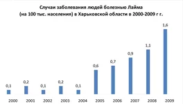Без имени-1.jpg