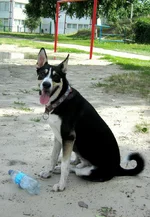 _июль2013 108.webp