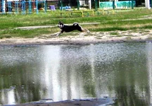 _июль2013 098.webp