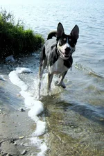 _октябрь2013 007.webp