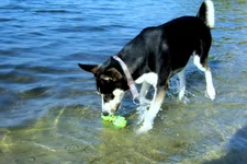 _октябрь2013 005.webp