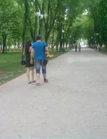 613.webp