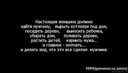 11.webp