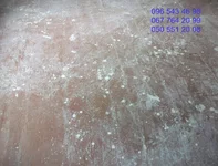 DSCF2938.webp