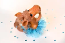 horse-3-7.webp