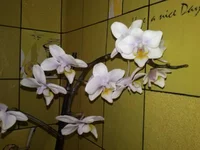 CAM01928.webp