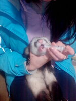 IMG_20131224_130211.jpg