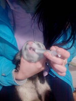 IMG_20131224_130218.jpg