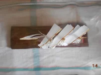 DSCN4382.webp