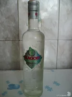 49808269.webp