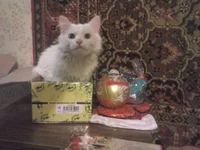 CAM00048.webp