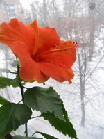 PC104336.webp