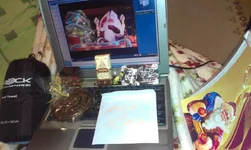 IMAG0354.webp