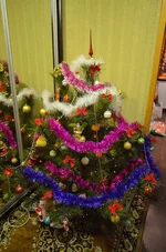 DSC_0076_новый размер.webp