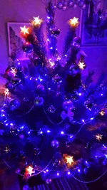20131222_212347_LLS.webp