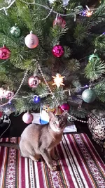 20131223_110702.webp