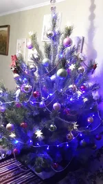 20131222_212122_LLS.webp